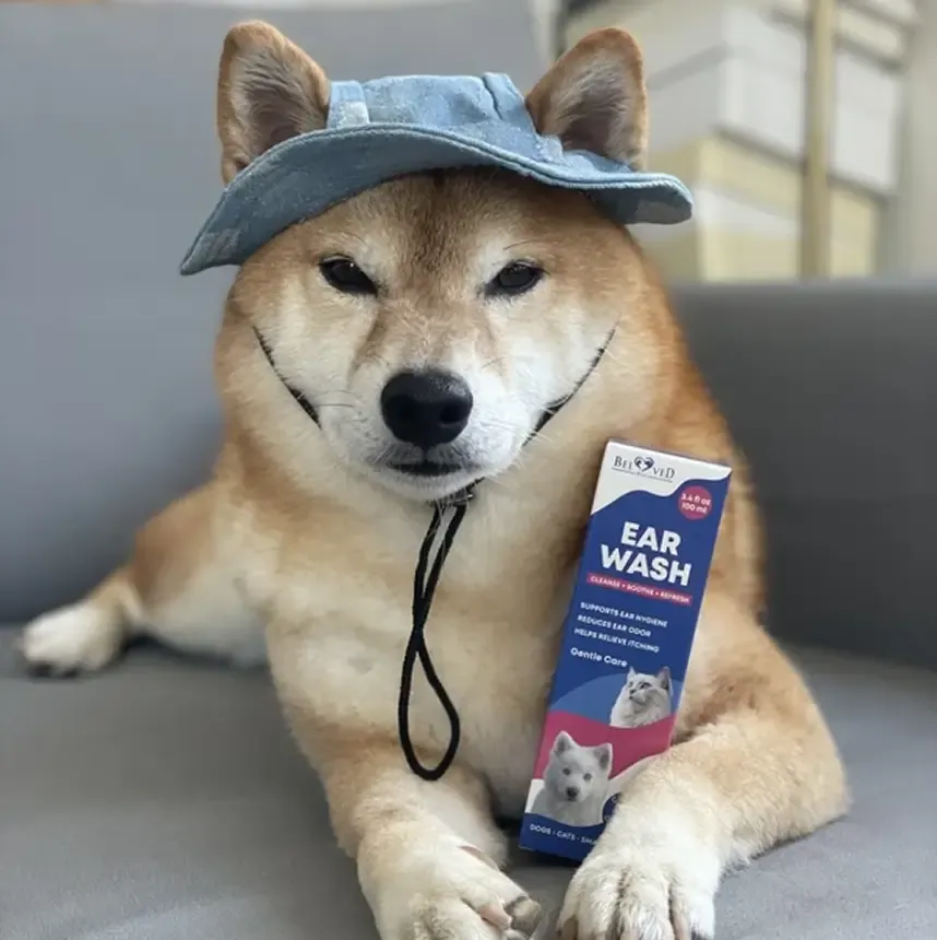 Dog wearing a Beloved Pets bandana beside an ear wash bottle