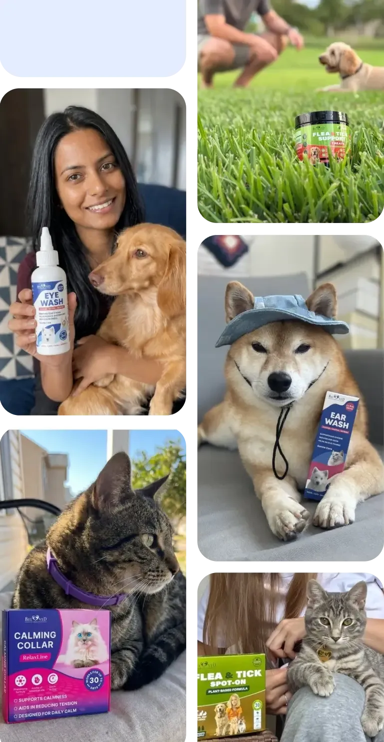 Creators showing Beloved Pets products in JoinBrands campaign content