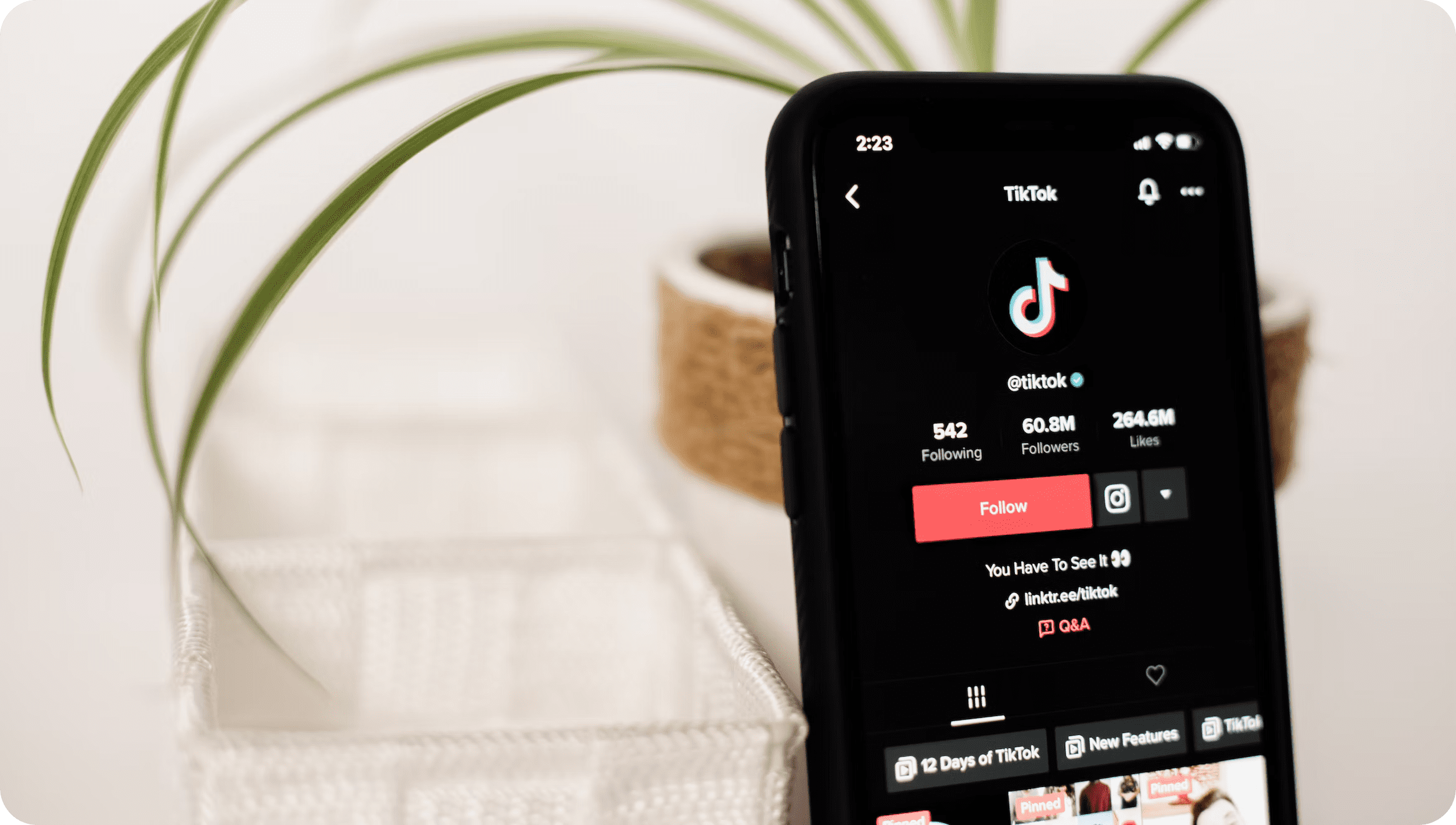 How to Leverage TikTok for Business in 2022 - Step-by-Step Guide