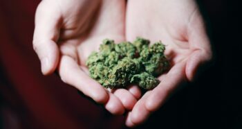 How to Find Cannabis Influencers