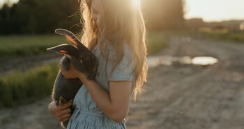Pet Influencer Agency