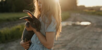 Pet Influencer Agency