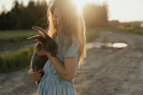 Pet Influencer Agency
